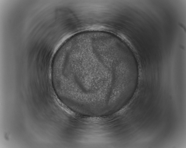 X0000100841232200807111143