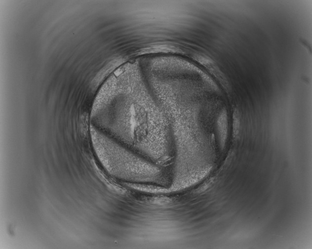 X0000100841233200807111143