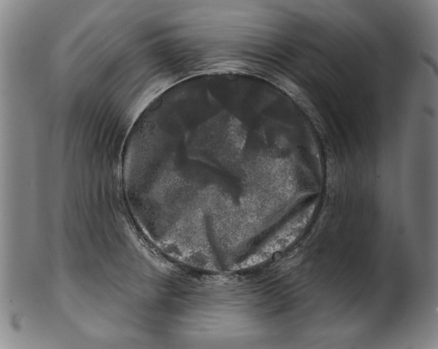 X0000100841234200807111143