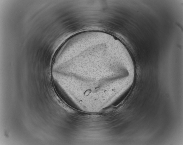 X0000100841236200807111143