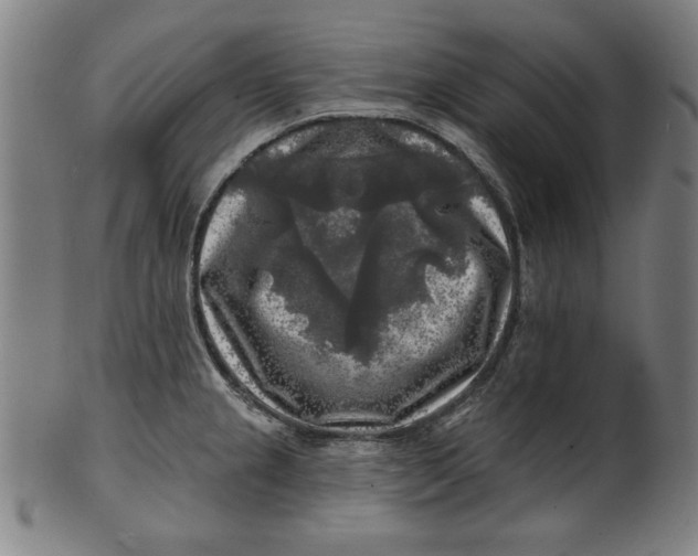 X0000100841237200807111144