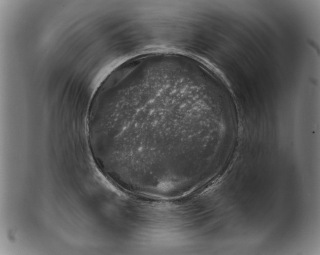 X0000100841239200807111144