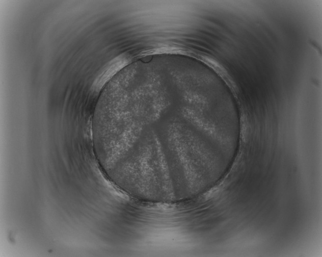 X0000100841241200807111144