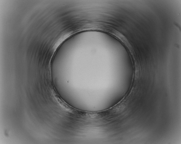 X0000100841242200807111144