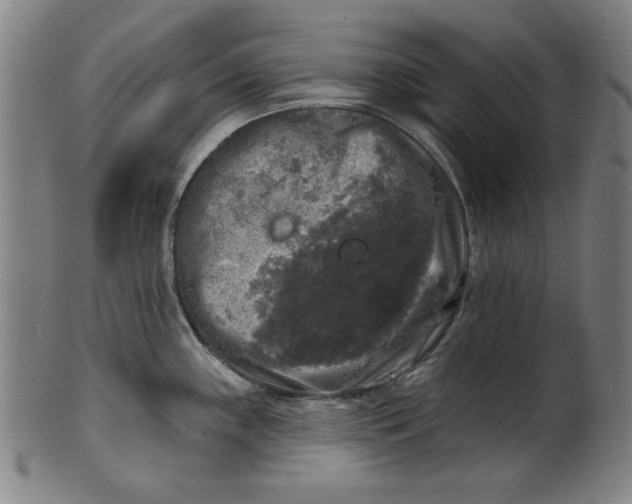 X0000100841243200807111144