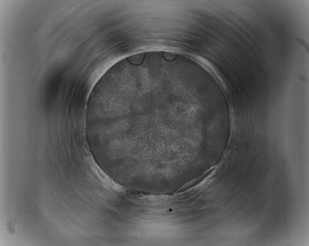 X0000100841244200807111144