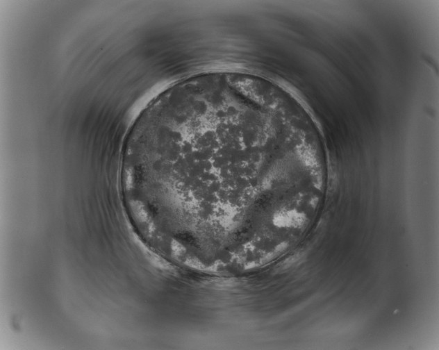 X0000100841245200807111144