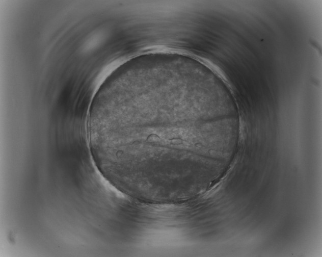 X0000100841247200807111144