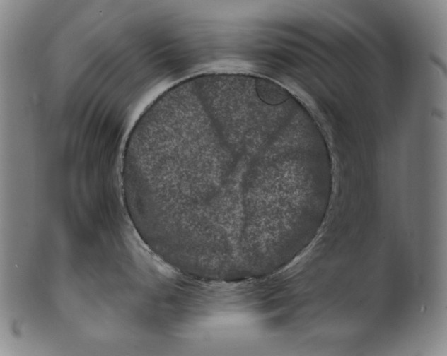 X0000100841248200807111144