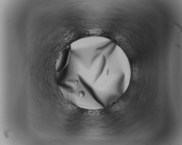 X0000100841249200807111143