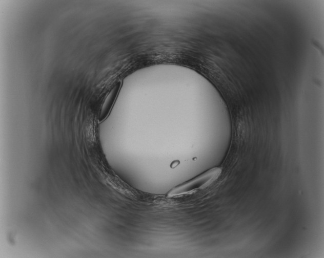 X0000100841250200807111143