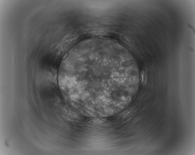 X0000100841251200807111143