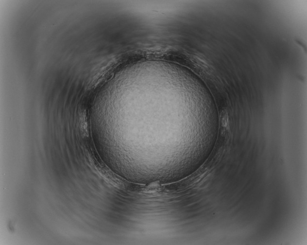 X0000100841252200807111143