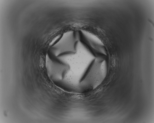 X0000100841253200807111143