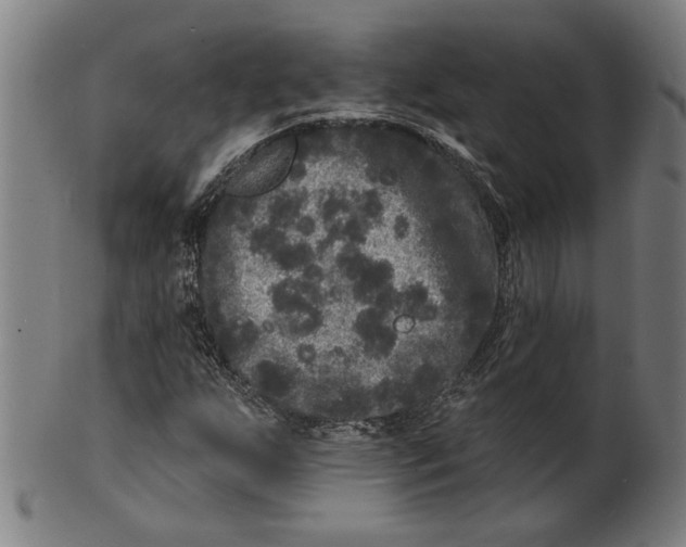 X0000100841255200807111143