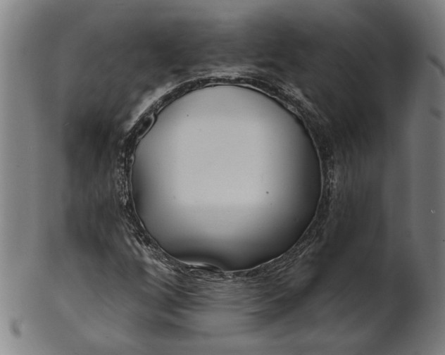 X0000100841256200807111143