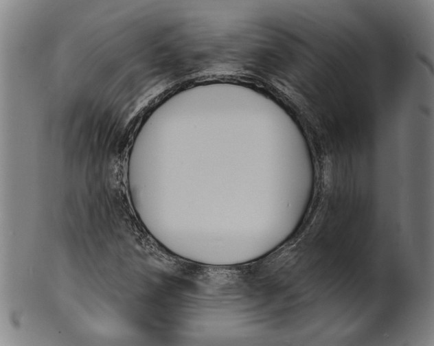 X0000100841258200807111143