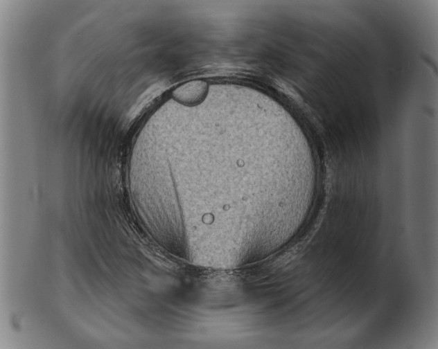 X0000100841259200807111143