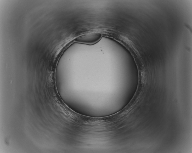 X0000100841260200807111143