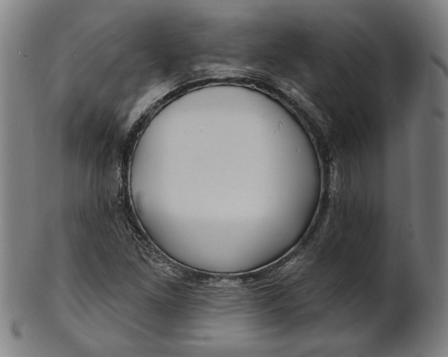 X0000100841261200807111143