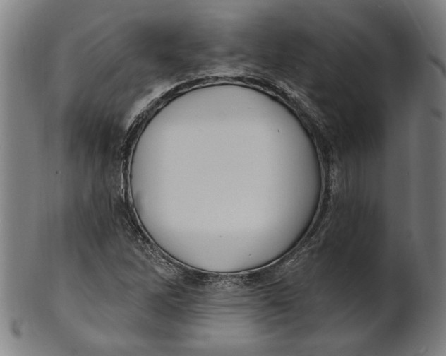 X0000100841262200807111143