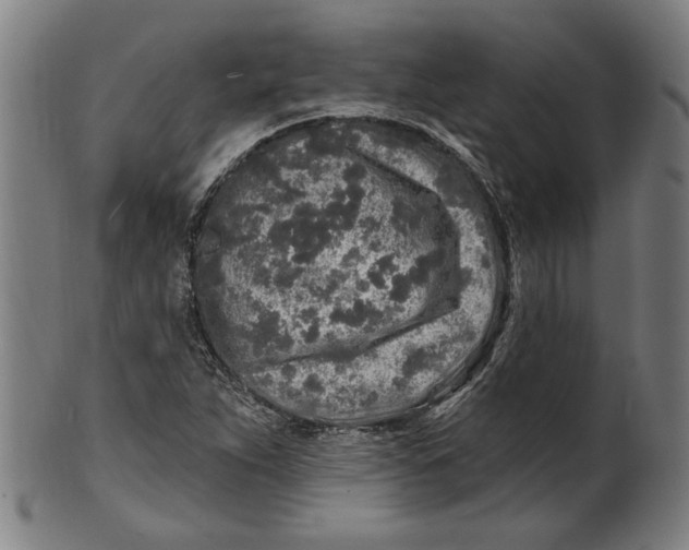 X0000100841263200807111143