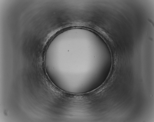 X0000100841264200807111143