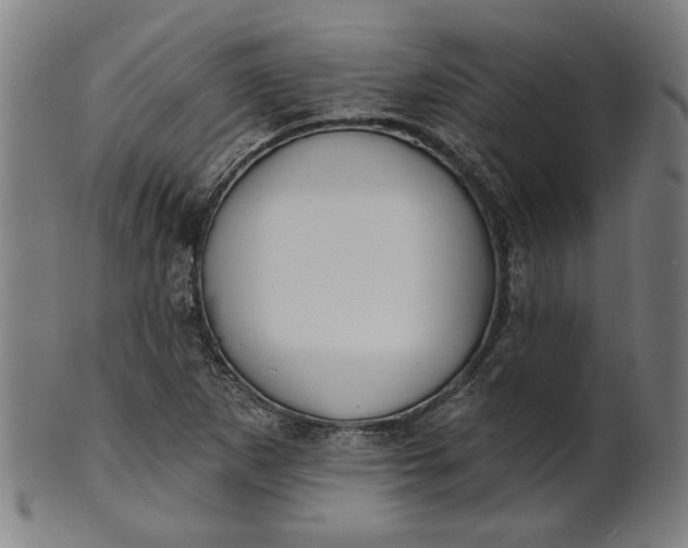 X0000100841265200807111143