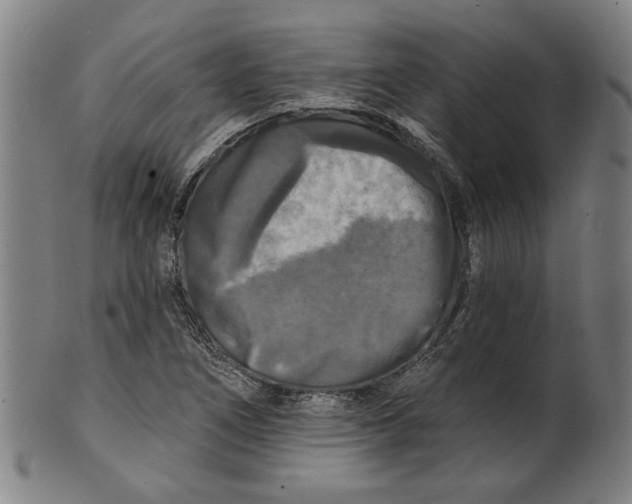 X0000100841266200807111143