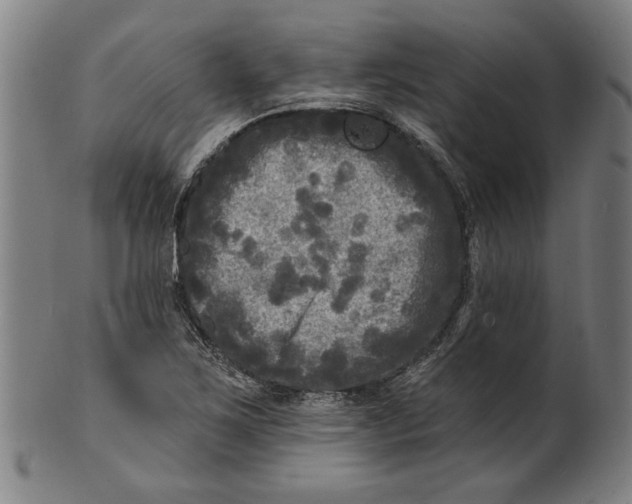 X0000100841267200807111143