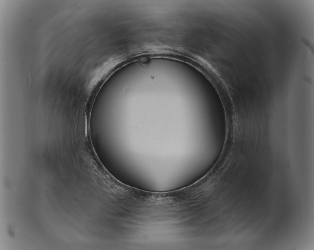 X0000100841269200807111143