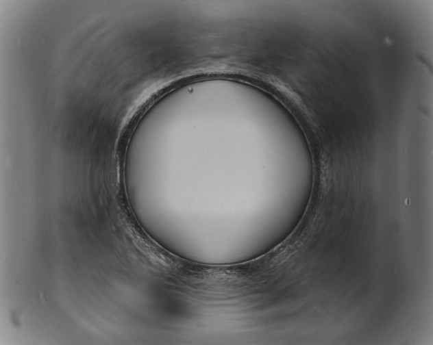 X0000100841270200807111143