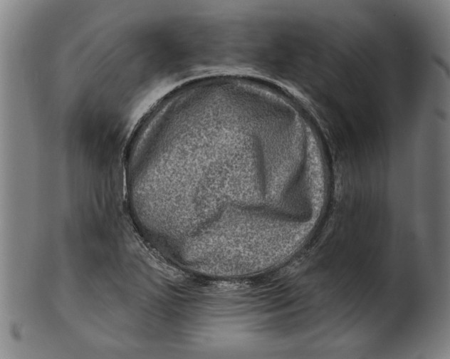 X0000100841271200807111143