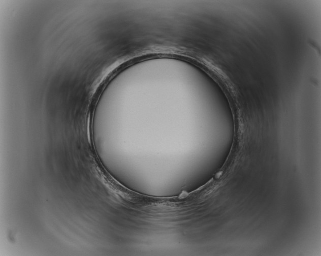 X0000100841272200807111142