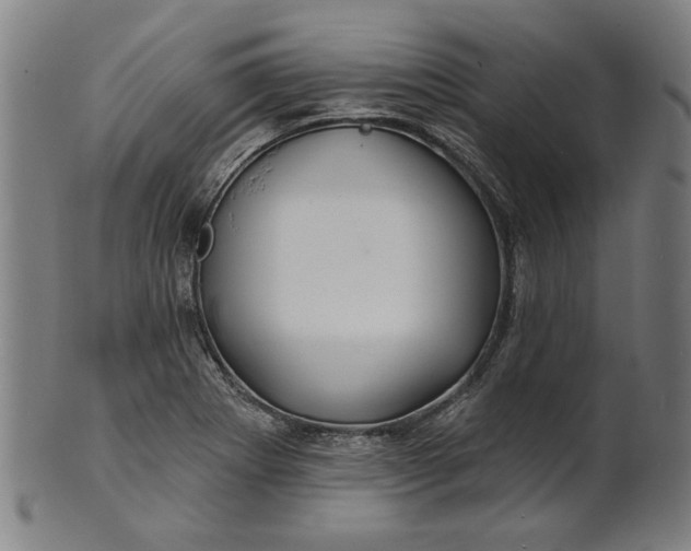 X0000100841273200807111142