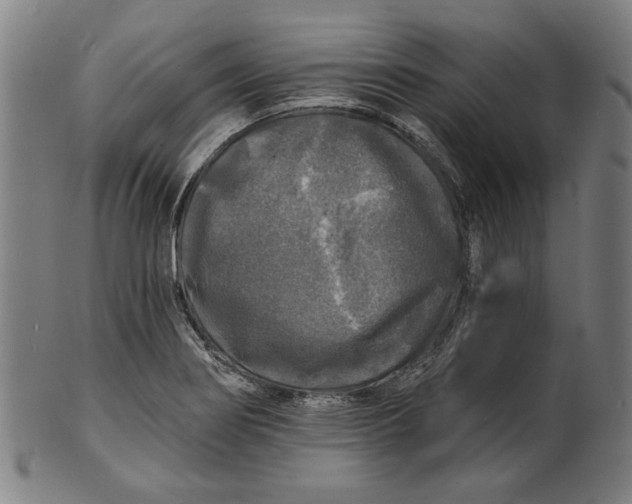 X0000100841274200807111142