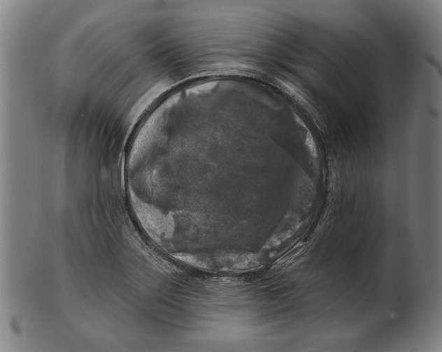 X0000100841275200807111142