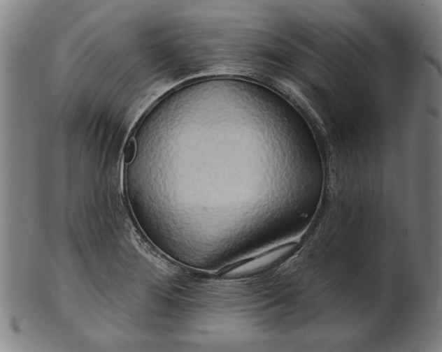 X0000100841276200807111142