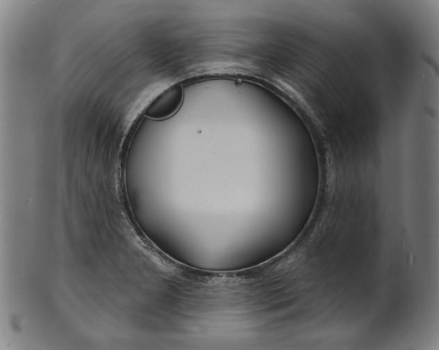 X0000100841277200807111142