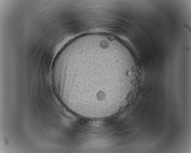 X0000100841278200807111142