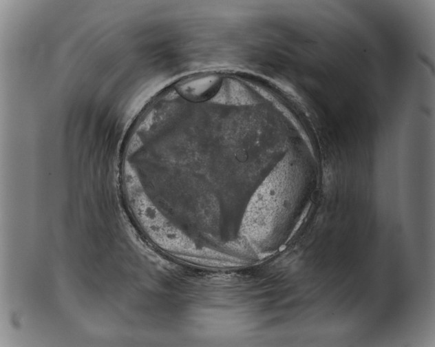 X0000100841279200807111142