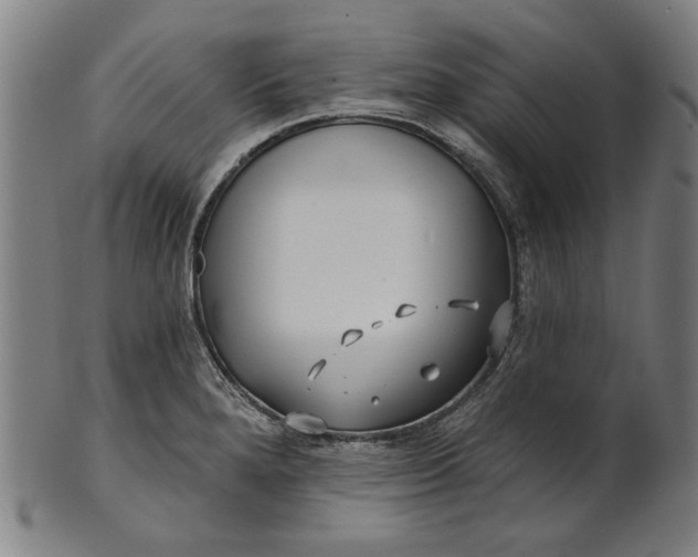 X0000100841280200807111142