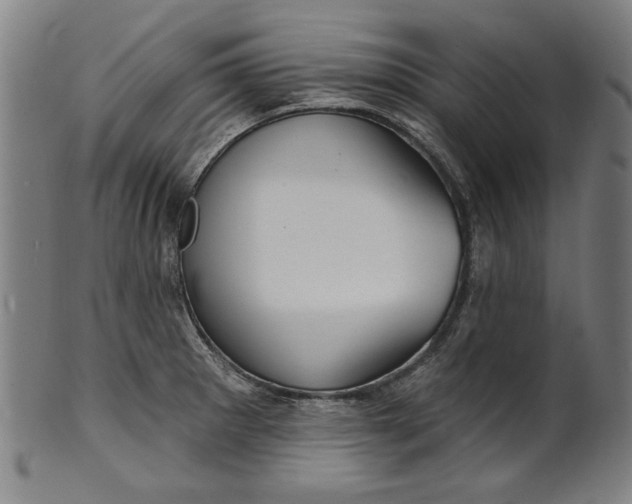 X0000100841281200807111142