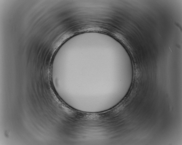 X0000100841282200807111142