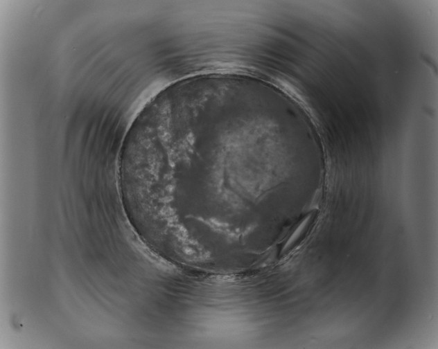 X0000100841283200807111142