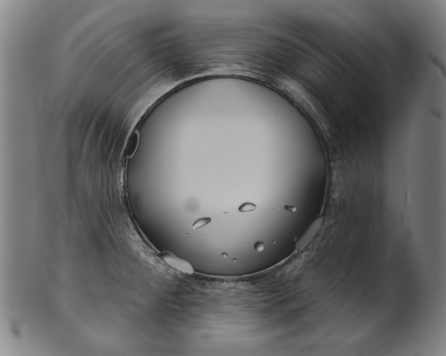 X0000100841284200807111142