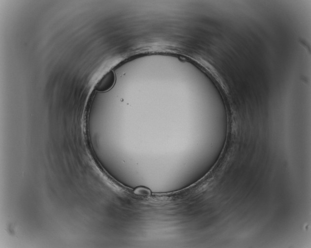 X0000100841285200807111142