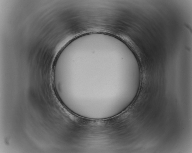 X0000100841286200807111142