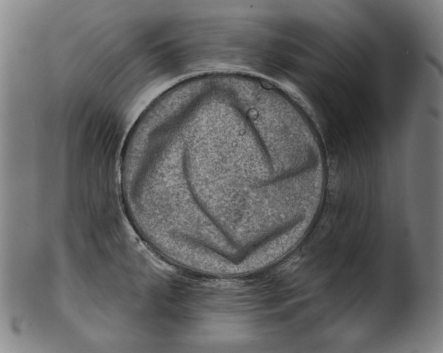 X0000100841287200807111142