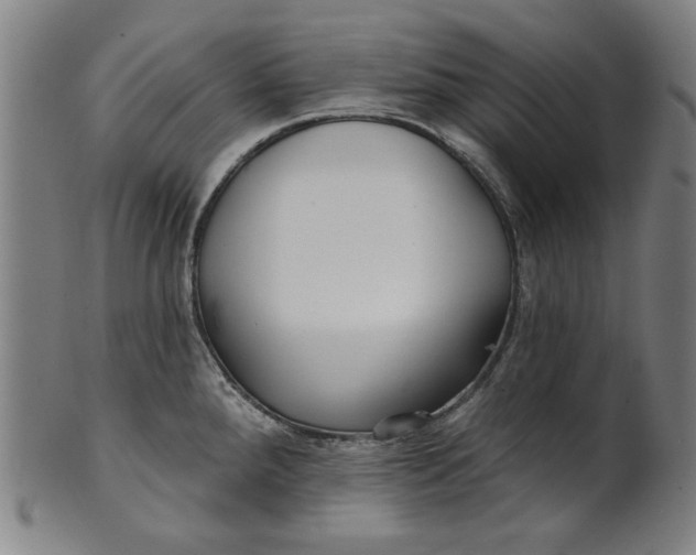 X0000100841288200807111142